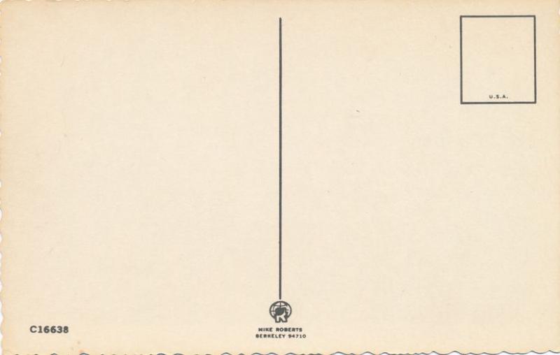 Surprised Fawn - Startled Deer - Animal