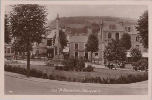 Scotland Postcard - The Wellmeadow, Blairgowrie, Perth and Kinross  XT235