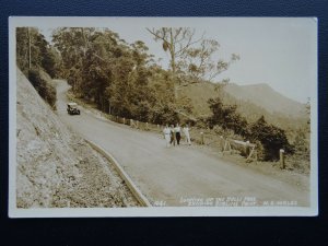 Australia NSW Looking up the BULLI PASS shows SUBLIME POINT - Old RP Postcard