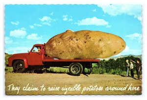 They Claim To Raise Sizeable Potatoes Around Here ID Continental View Postcard