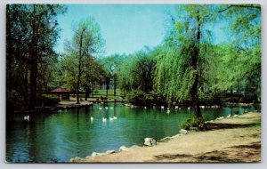 Birmingham Alabama~Avondale Park~Picturesque Lake View~Waterfowl~1950s Postcard