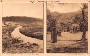 England New Forest Beauty Spots Forest from Picket Post Rufus Stone postcard