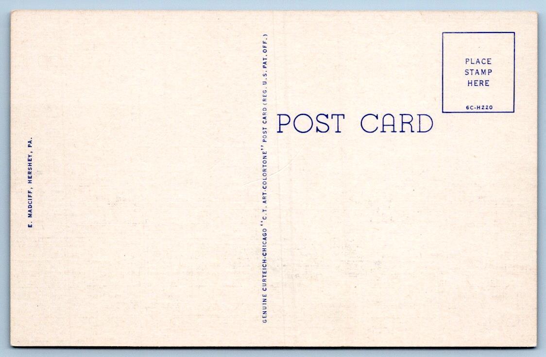 Duncannon Pennsylvania Amity Hall Esso GAS Station*Curteich Linen