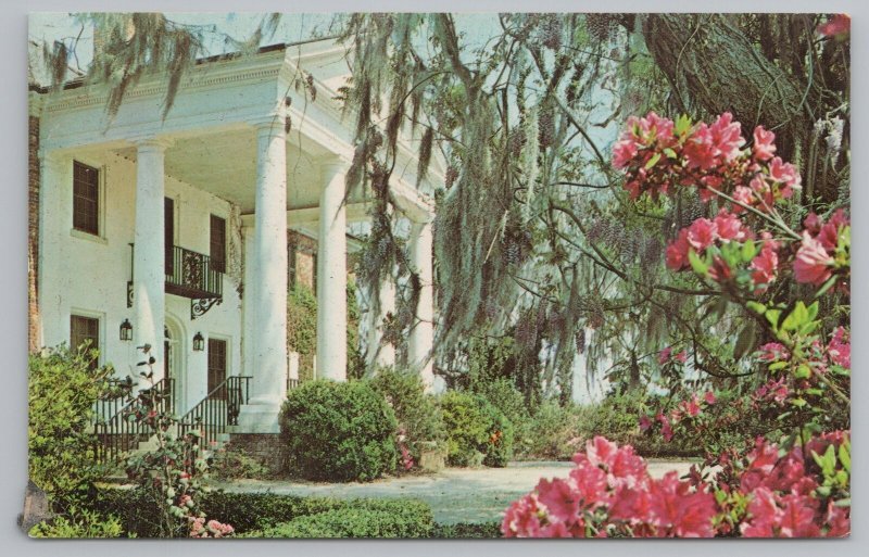 Charleston South Carolina~Boone Hall Plantation~Vintage Postcard