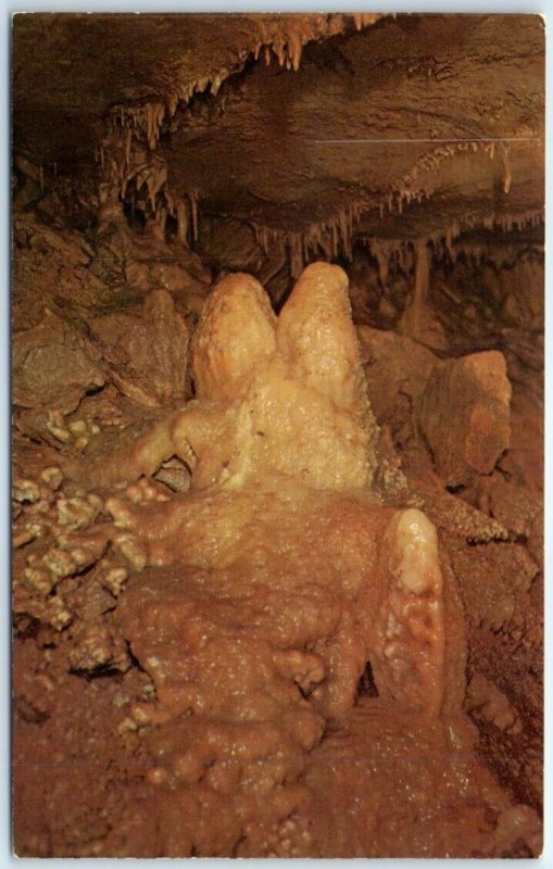 Postcard - New Discovery, Crystal Onyx Cave, Cave City, Kentucky, USA