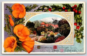 Yosemite California Christmas Greetings~California Poppy~Holly Berries~1912 PC