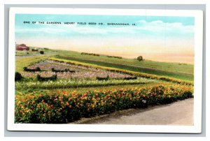 Vintage 1920's Postcard Large Flower Garden Henry Field Seed Co. Shenandoah Iowa