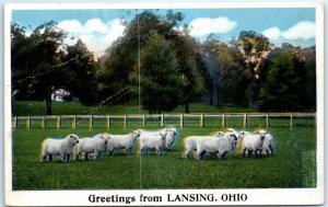 M-52118 Greetings from Lansing Ohio