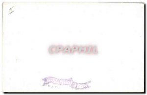 Old Postcard Llamas Lama Ecuador