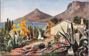 South Africa Farm Near Hout Bay Cape Town Postcard C071