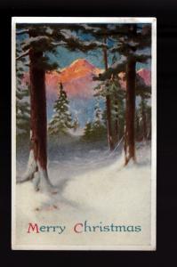 Merry Christmas Picture Postcard!