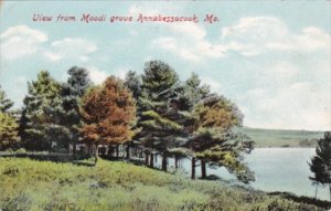 Maine View From Moodi Grove Annabessacook