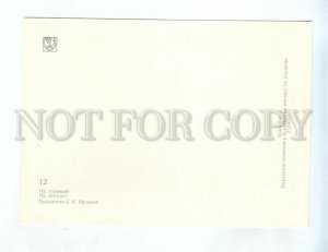 252356 USSR RUSAKOV Nu, pogodi! WOLF HARE hippo builder old postcard