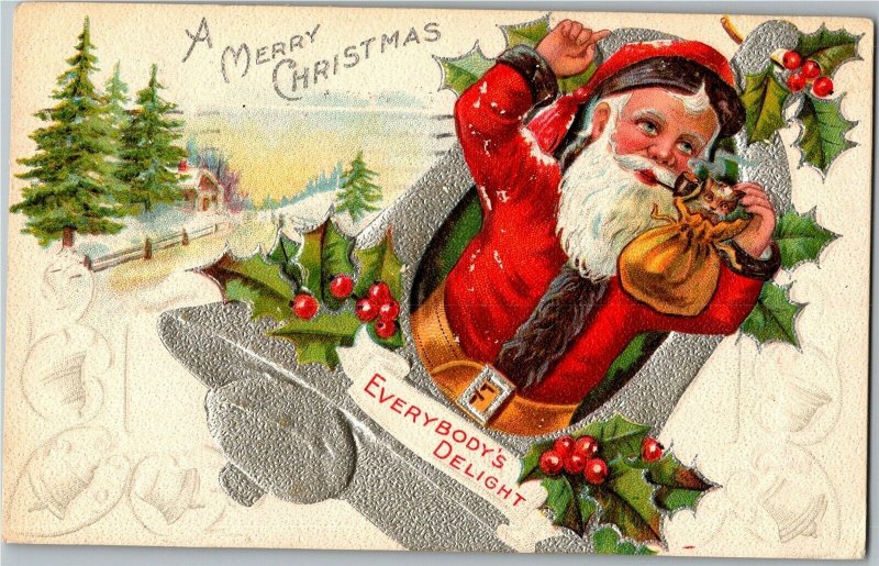 Santa With Kitten in Bag, Merry Christmas Everybody's Delight Vtg Postcard F58 