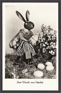 Easter Postcard Dressed Rabbit Doll with Egg Head Real Photo from Germany 1950s