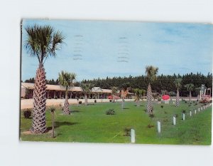 Postcard Dixie Dream Motel In The Palms On U. S. Highway 301 Dillon SC USA