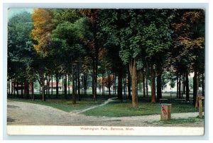 1909 View Of Washington Park Bellevue Michigan MI Posted Antique Postcard