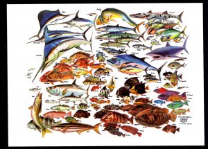 Florida Coast 101 FISH OF THE SOUTH ATLANTIC Painting by Russ Smiley ~ Cont'l