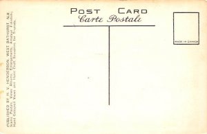 Bonaventure Island Bird Scene Perce Unused 