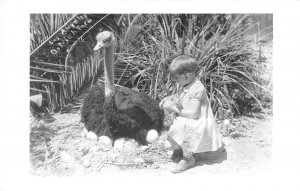 RPPC Girl & Ostrich Eggs LOS ANGELES OSTRICH FARM c1940s Vintage Photo Postcard