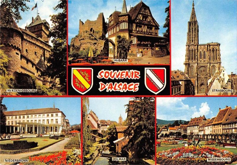 BT10281 Alsace      France