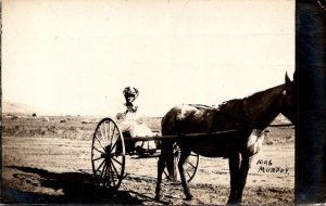 Horses Mrs Murphy Riding Horse Drawn Carriage Real Photo