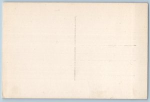 Lleida Spain Postcard Old Bridge Noguera Pallaresa River c1930's RPPC Photo