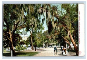 1904 Ridgewood Ave And Ridgewood Hotel Datona Beach Flordia Original P26E