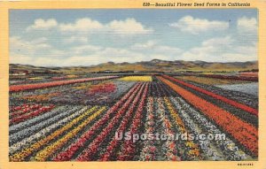 Fowerseed Farms - Santa Maria, CA