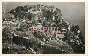 Monaco Modern Postcard The rock and exotic gardens