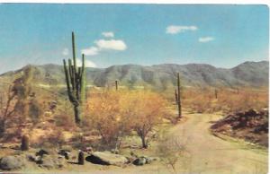 US Unused. South Mountain Park, Phoenix, AZ