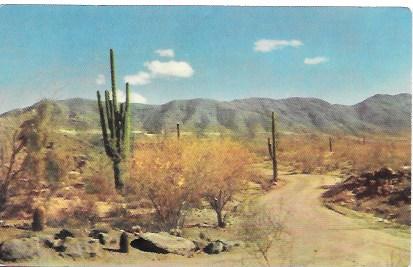 US Unused. South Mountain Park, Phoenix, AZ