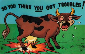 Cow Crying Comic Postcard 2T7-148 