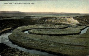 Yellowstone National Park Wyoming WY Trout Creek Vintage Postcard