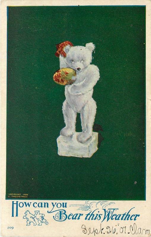 c1907 Twelvetrees Postcard Toy Polar Bear w/ Fan, How Can You Bear this Weather?