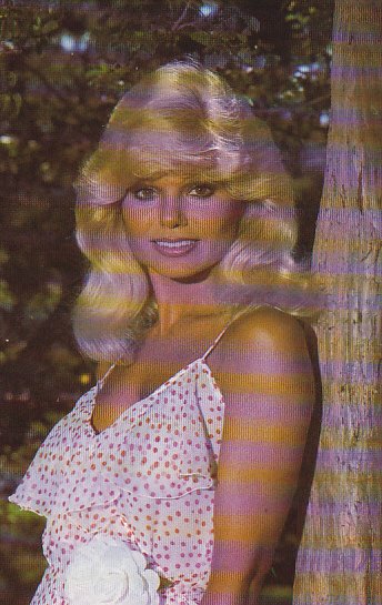 Loni Anderson