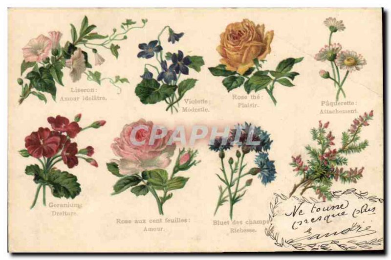 Old Postcard Fantasy Flowers