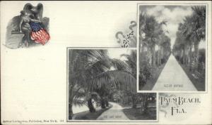 Palm Beach FL Split View A. Livingston c1905 Postcard jrf