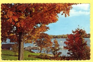 FALL ON THE MAINE COAST.  SEE SCAN