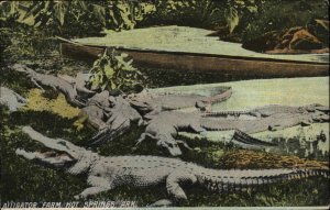 Hot Springs Arkansas AR Alligator Farm c1910 Vintage Postcard