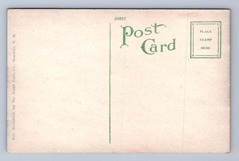 ON THE BEACH AT WAIKIKI HONOLULU HAWAII POSTCARD (c. 1910)