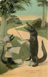 Alligator School Comic Humor Private Lesson 1918 Postcard 12082