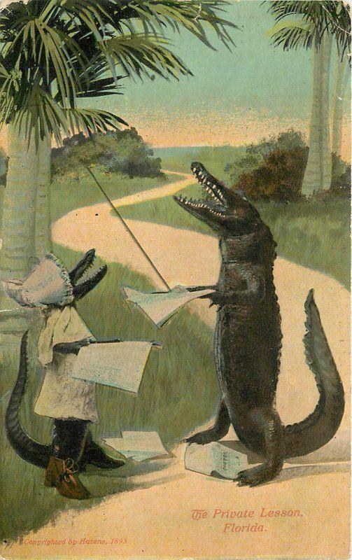 Alligator School Comic Humor Private Lesson 1918 Postcard 12082