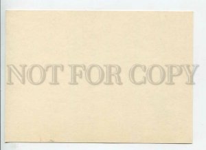 450660 UNITED NATIONS WIEN 1982 year laurel branch POSTAL stationery