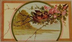 Victorian Trade Card Birds In Nest Tree Blossoms Art Nouveau F82