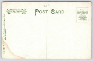 Burlington Kansas~Central High School Trying to Grow Grass~c1908 Postcard