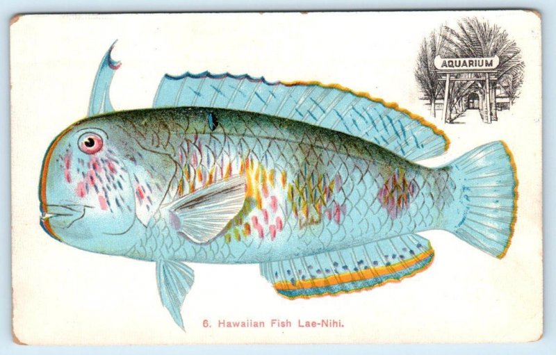 Oahu Fish Card