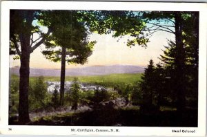 Postcard NATURE SCENE Canaan New Hampshire NH AM6220