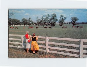 M-215787 Blue Grass Farm Kentucky USA