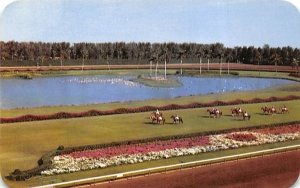 Beautiful Hiahleah Race Course Miami, Florida  